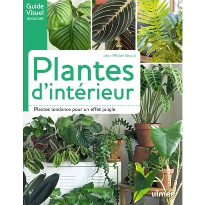 Image de Plantes d&#039;intérieur