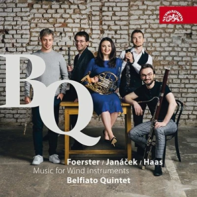Afbeelding van Belfiato Quintet Music For Wind Instruments (CD)