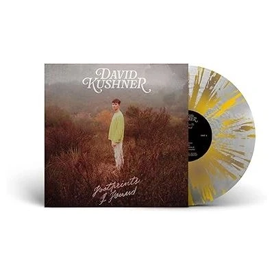 Afbeelding van David Kushner Footprints I Found (LP)