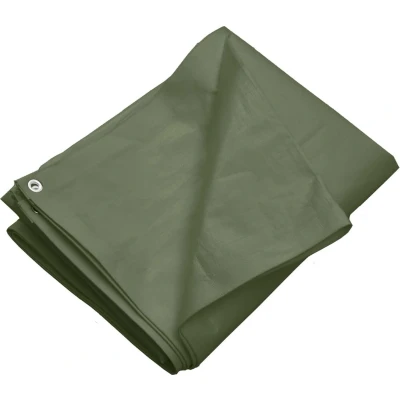 Afbeelding van vidaXL Dekzeil 260 g/m² 8x8 m HDPE groen