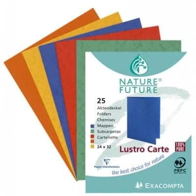 Image de Chemise Exacompta Paquet de 25 chemises Lustro Carte 225g Couleurs assorties