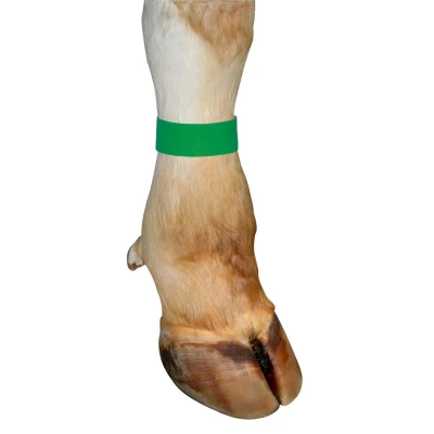 Afbeelding van Enkelband koe met klittenband groen 10 stuks