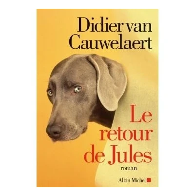 Image de Le Retour de Jules