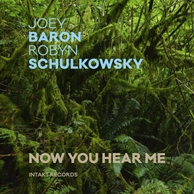 Afbeelding van Joey Baron &amp; Robyn Schulkowsky Now You Hear Me (CD)