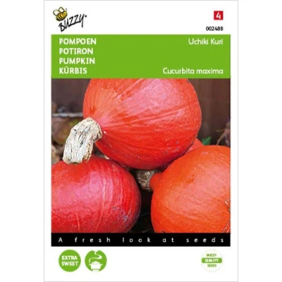 Afbeelding van Pompoenen Uchiki Kuri Oranjezon Buzzy
