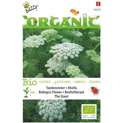 Afbeelding van Organic Tandenstoker Ammi Visnagia The Giant BIO Buzzy