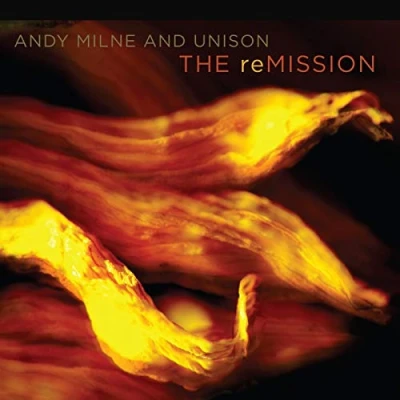 Afbeelding van Andy And Unison Milne Remission (CD)