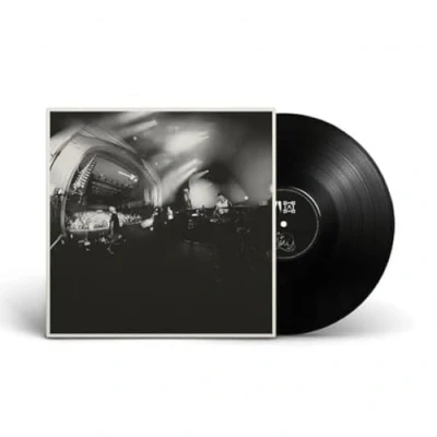 Afbeelding van And So I Watch You From Afar Megafauna (LP)