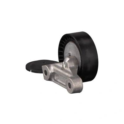 Afbeelding van Febi Bilstein Spanrol (poly) V riem 47295