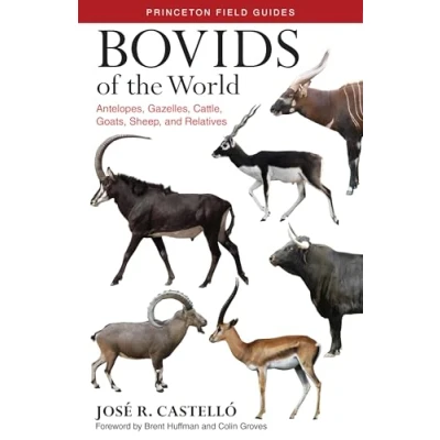 Afbeelding van Bovids of the World