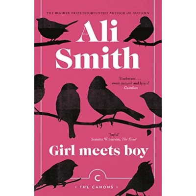 Afbeelding van Girl Meets Boy