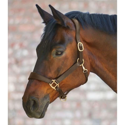 Afbeelding van Waldhausen Halster X Line Anatomic Leder Bruin Cob