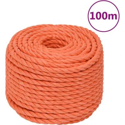 Afbeelding van vidaXL Werktouw 24 mm 100 m polypropeen oranje