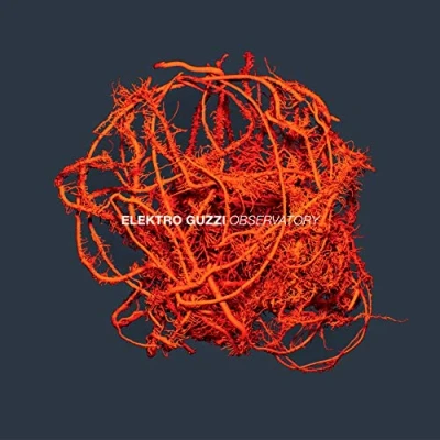 Afbeelding van Elektro Guzzi Observatory (CD)