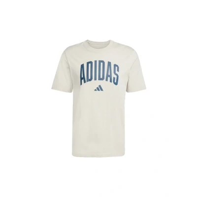 Afbeelding van adidas Sportswear Collegiate Lineage Graphic T shirt Heren Beige XS