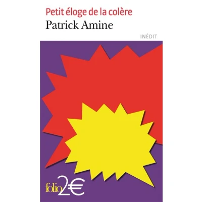 Afbeelding van Petit eloge de la colere