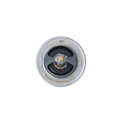 Afbeelding van NRF 725173 Thermostaat, koelvloeistof 89 Zonder behuizing OPEL: Corsa D Hatchback, Mokka / X, Meriva B