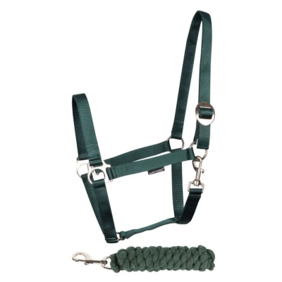Afbeelding van Harry&#039;s Horse Halsterset Initial Groen Shetland