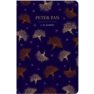 Afbeelding van Peter Pan