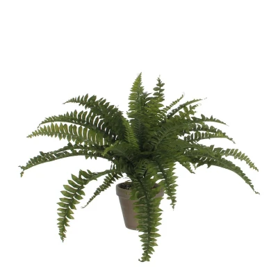 Afbeelding van Varen Kunstplant in Bloempot Stan H40 x Ø70 cm Groen