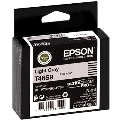 Afbeelding van Epson T46S9 Inktcartridge Licht grijs