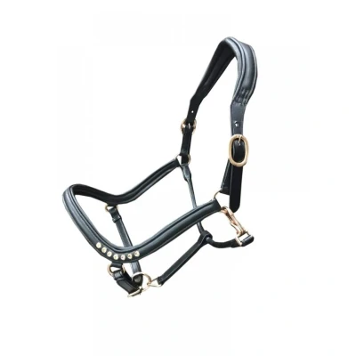 Image de HB Showtime Licol Anatomic Noir Cob