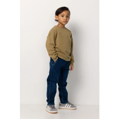 Afbeelding van Sweater Ray Dried Herb 122