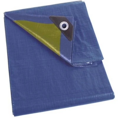 Afbeelding van Dekzeil blauw/groen standaard 2 x 3 m Velleman