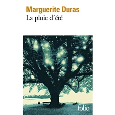 Afbeelding van La pluie d&#039;été