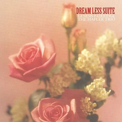 Afbeelding van Genesis/Hafler Trio P Orridge Dream Less Suite (2 LPs)