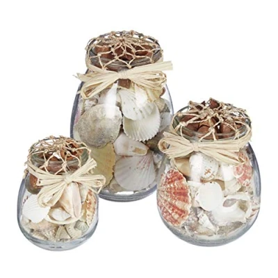 Afbeelding van Relaxdays 3x schelpen decoratie potten met mix in pot