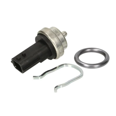Afbeelding van Temperatuursensor CALORSTAT by Vernet WS3019
