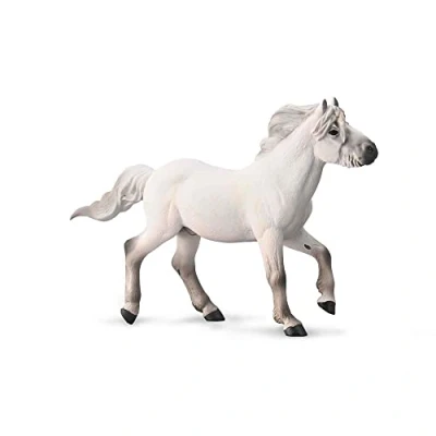 Afbeelding van COLLECTA Jakoetische Hengst 1:20