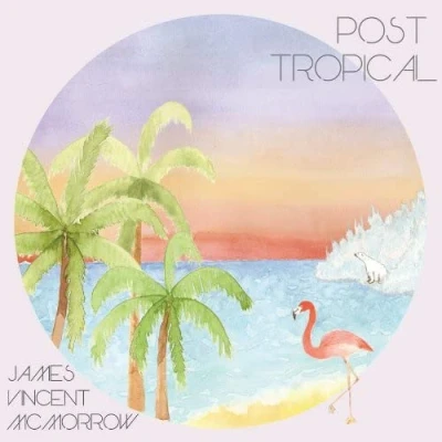Afbeelding van Post tropical