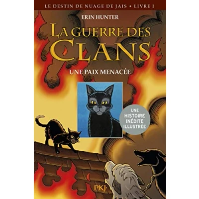 Afbeelding van ISBN 9782266249812, Frans, Paperback, 96 pagina&#039;s