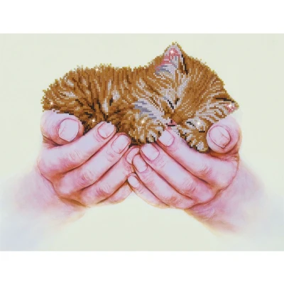 Afbeelding van Diamond Dotz 52 x 40cm Precious Kitten