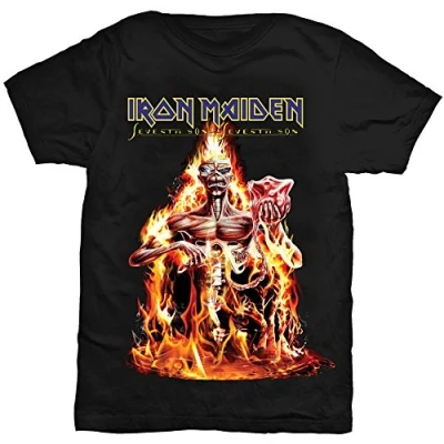 Afbeelding van IRON MAIDEN T Shirt Seventh Son (L)