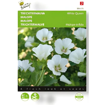 Afbeelding van Zaden malope trechtermalva white queen 1.5 gram Buzzy