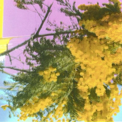 Afbeelding van Four Tet Into Dust (Single)