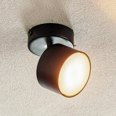 Afbeelding van Plafondspot Cloudy 1 lamp zwart