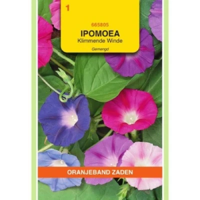 Afbeelding van Ipomoea Klimmende Winde gemengd