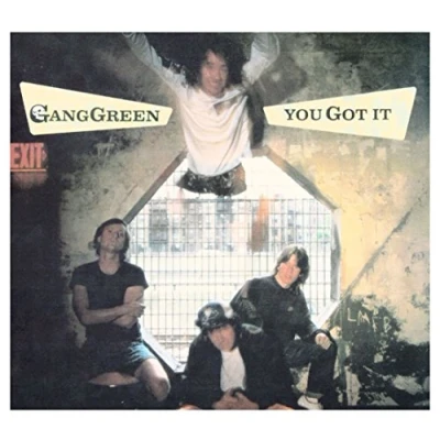 Afbeelding van Gang Green You Got It (CD)