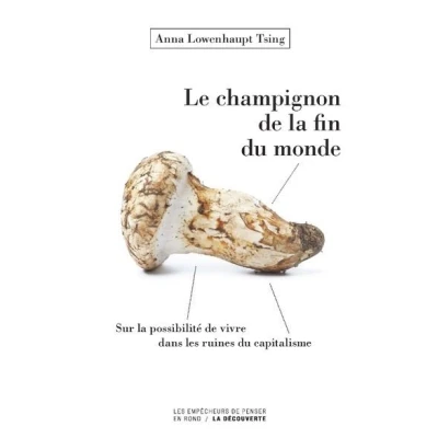 Image de Le champignon de la fin du monde Sur possibilité vivre dans les ruines capitalisme