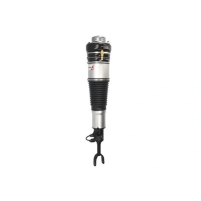 Afbeelding van Magnum Technology APA001MT Pneumatischeveerpoot Links voor