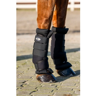 Afbeelding van HB Stal/Transportbeschermers Zwart XFull Agradi.be