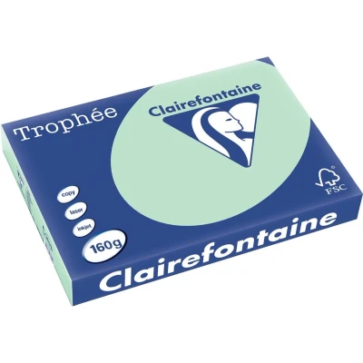 Afbeelding van Clairefontaine Trophée Pastel, gekleurd papier, A3, 160 g, 250 vel, groen papier
