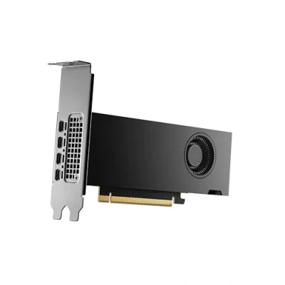 Image de NVIDIA Carte graphique RTX 2000 Ada 16 Go GDDR6 PCIe 4.0 x8 4 x Mini DisplayPort