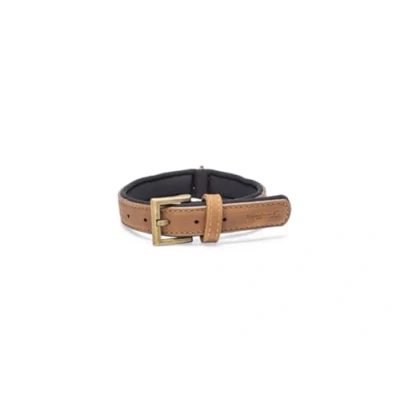 Afbeelding van Beeztees Balacron Ax Honden Halsband Kunstleer Bruin Nekomvang van tot x breedte: 31 39 cm 20 mm