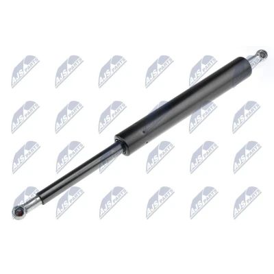 Afbeelding van NTY AE HD 011 Gasveer achterklep 1200 342