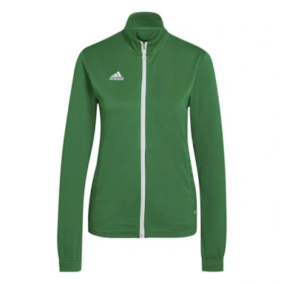 Afbeelding van adidas Entrada 22 TK Jacket Dames sportvest groen